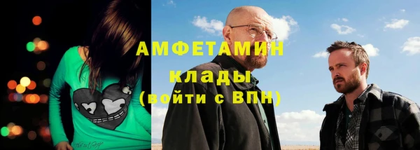 spice Богданович