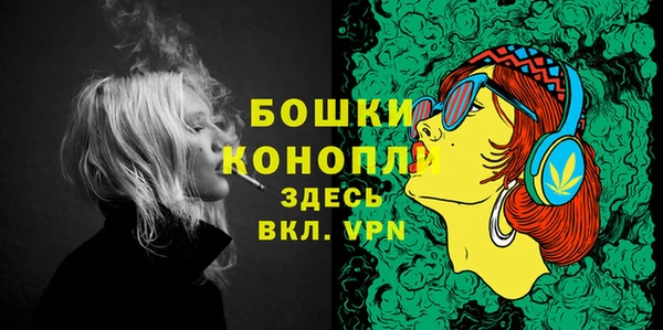 spice Богданович