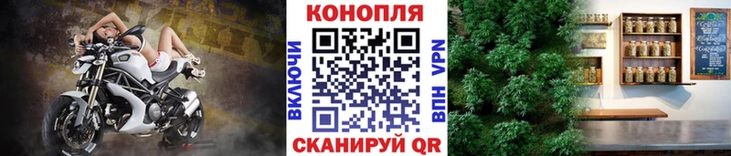 Бошки марихуана планчик Томск